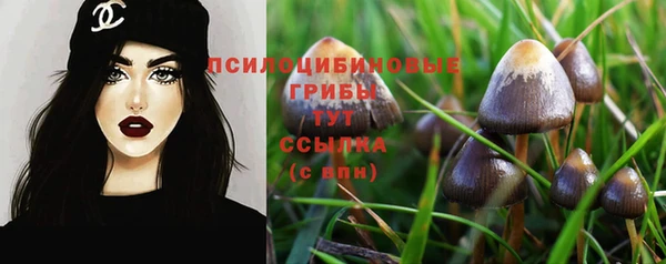 героин Белокуриха