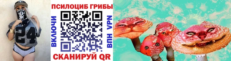 Галлюциногенные грибы прущие грибы OMG маркетплейс Кузнецк купить цена